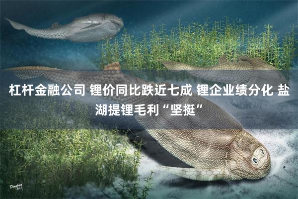 杠杆金融公司 锂价同比跌近七成 锂企业绩分化 盐湖提锂毛利“