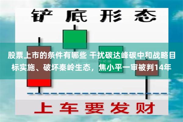 股票上市的条件有哪些 干扰碳达峰碳中和战略目标实施、破坏秦岭