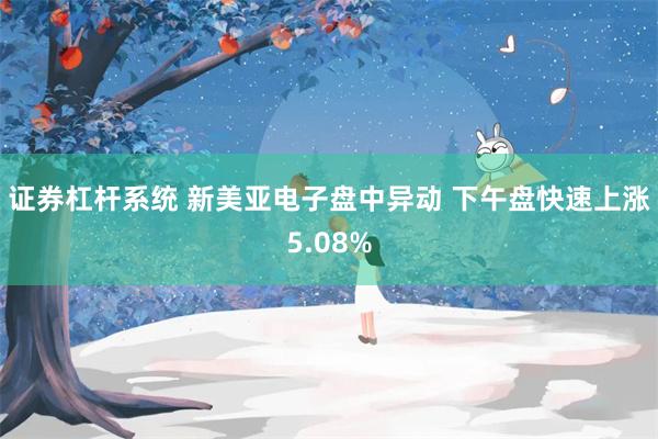 证券杠杆系统 新美亚电子盘中异动 下午盘快速上涨5.08%