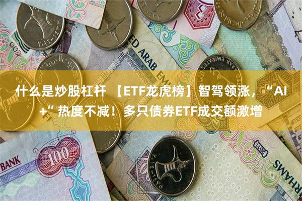 什么是炒股杠杆 【ETF龙虎榜】智驾领涨，“AI+”热度不减