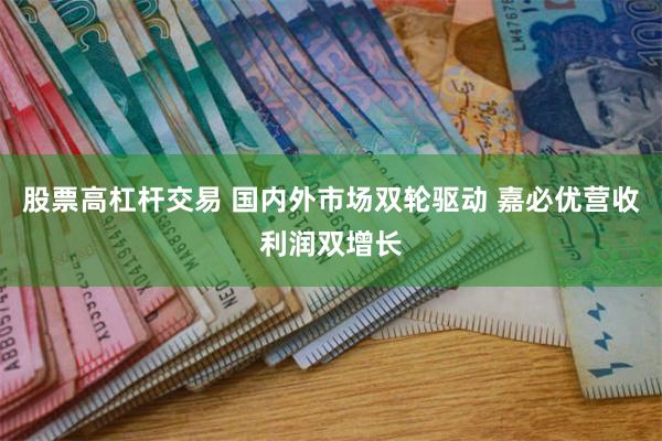 股票高杠杆交易 国内外市场双轮驱动 嘉必优营收利润双增长