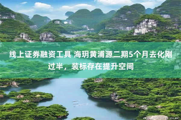 线上证券融资工具 海玥黄浦源二期5个月去化刚过半，装标存在提